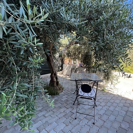 Appartamento L'Ulivo 布兰卡莱奥内码头 外观 照片